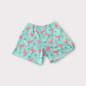 Nomad swim trunks